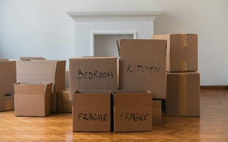 Why Lewis & Co Moving Group Was Formed